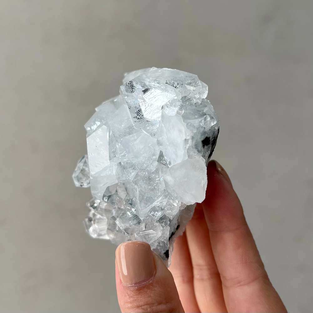 Apophyllite (A-grade) Cluster 28