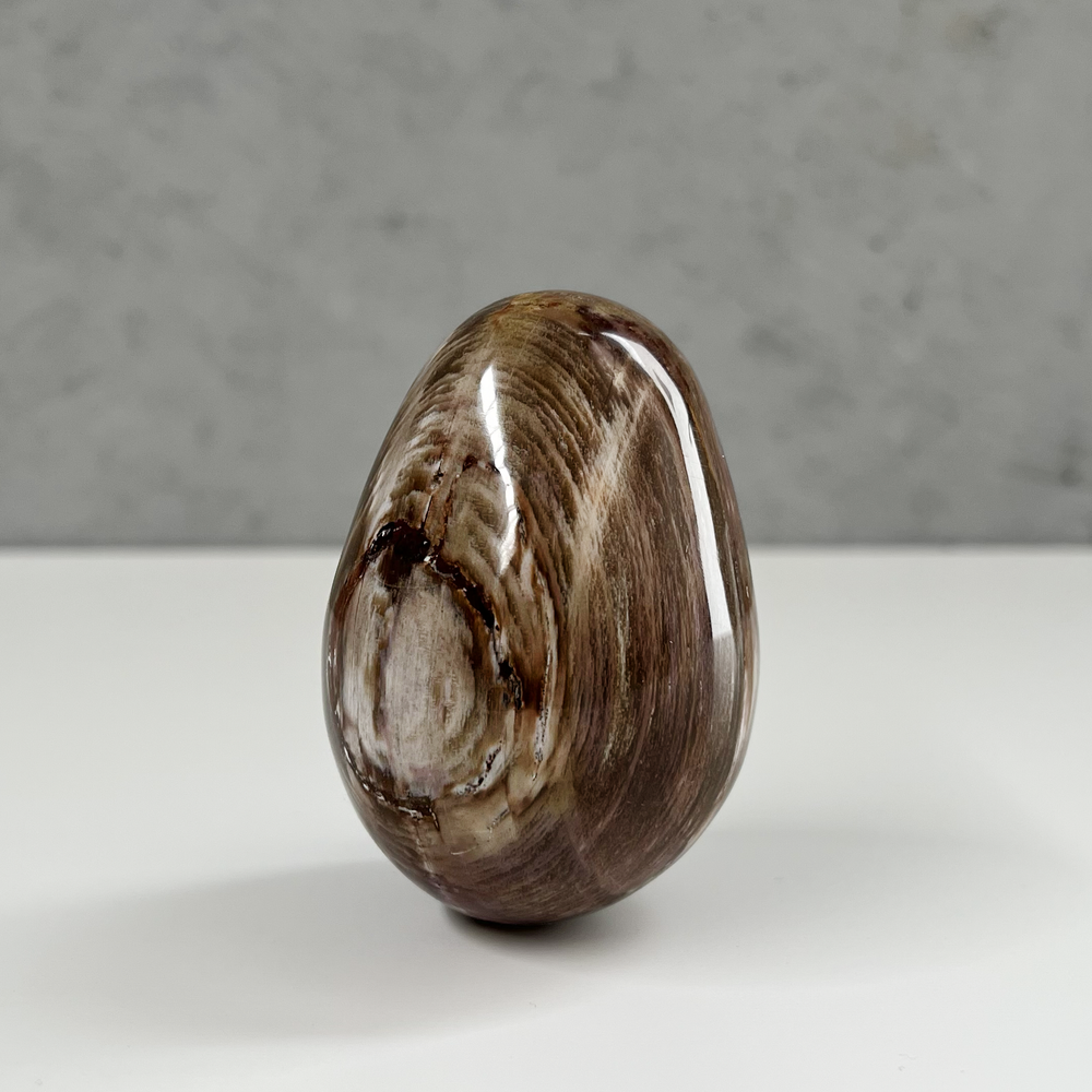 Petrified Wood Egg 66