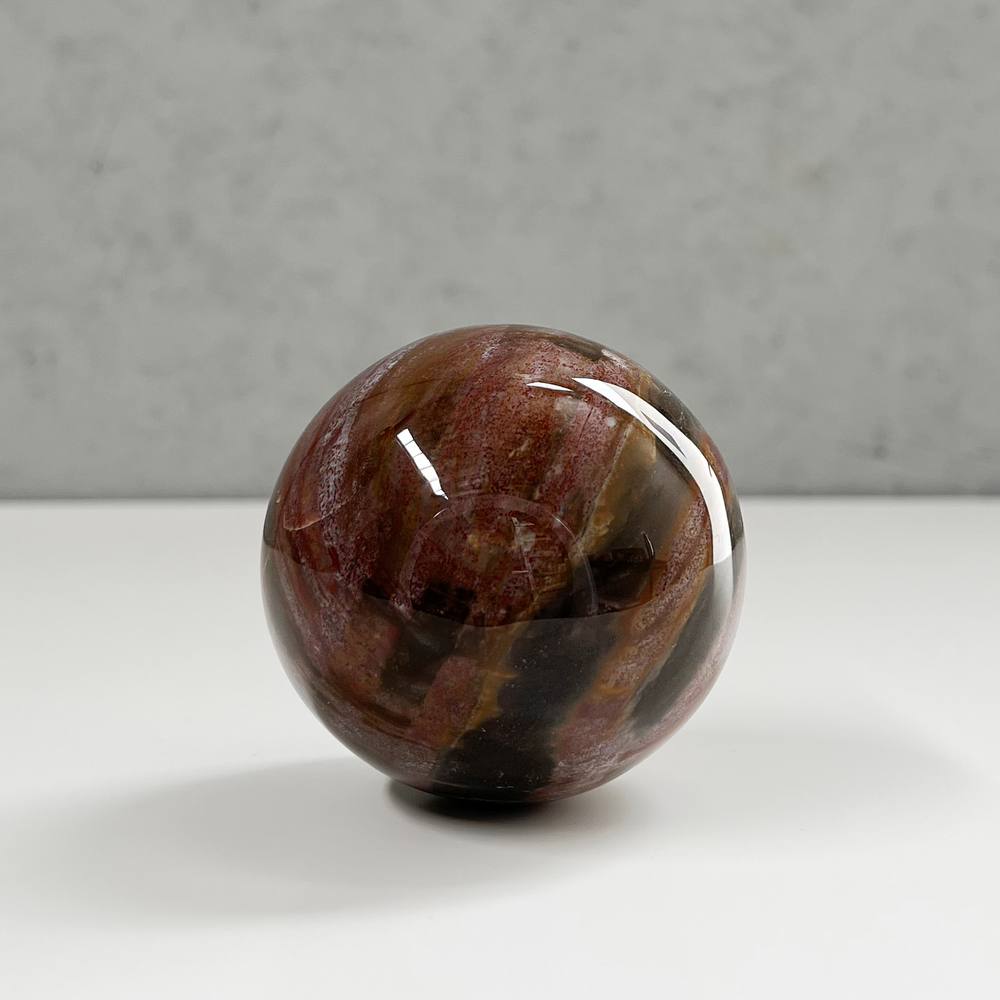 
                
                    Load image into Gallery viewer, Petrified Wood Sphere 62
                
            