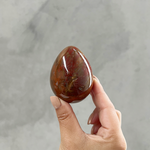 Petrified Wood Egg 65