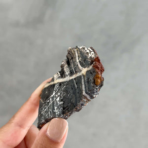 Stromatolite - 03