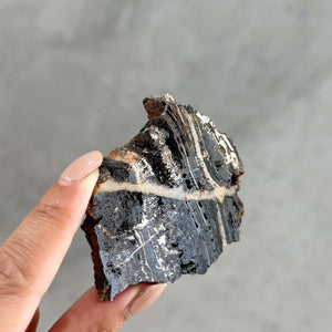 Stromatolite - 03