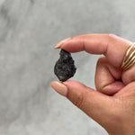 Rumuruti - Stony Iron Meteorite 05