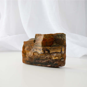 Stromatolite - 02