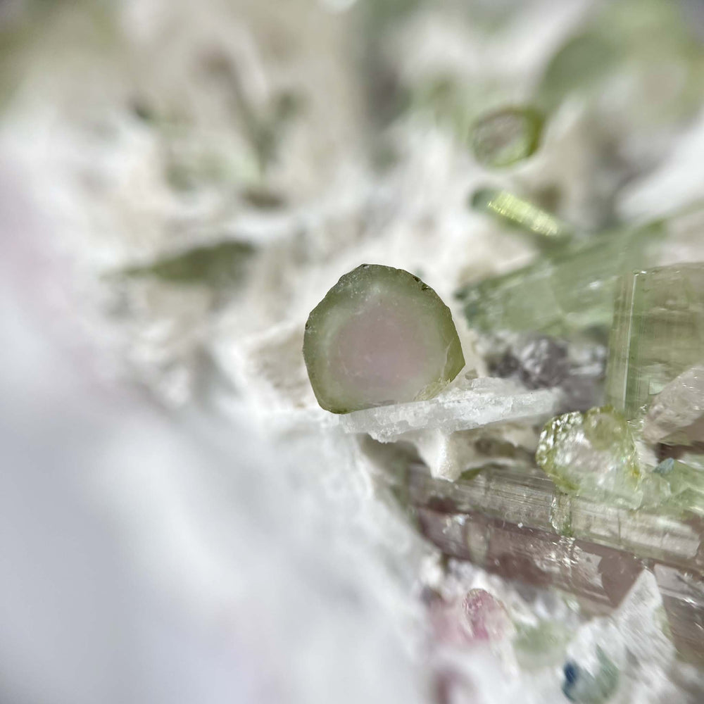 
                
                    Load image into Gallery viewer, Watermelon Tourmaline in Matrix - 13
                
            