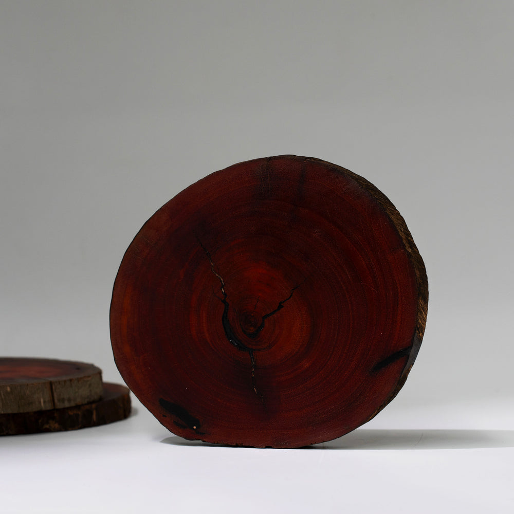 Wood Slice - 02