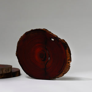 Wood Slice - 03