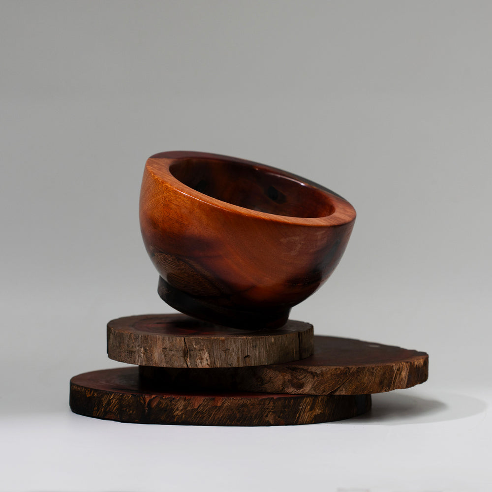 Wood Slice - 02